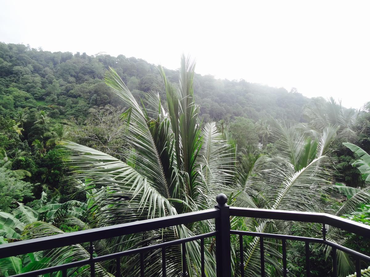 Slightly Chilled Forest Villa Sirimalwatta Esterno foto